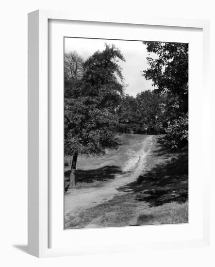 Hampstead Heath-Fred Musto-Framed Photographic Print