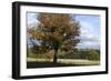 Hampstead Heath-Natalie Tepper-Framed Photo