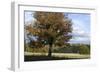 Hampstead Heath-Natalie Tepper-Framed Photo