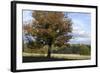 Hampstead Heath-Natalie Tepper-Framed Photo