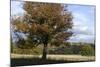 Hampstead Heath-Natalie Tepper-Mounted Photo