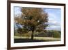 Hampstead Heath-Natalie Tepper-Framed Photo