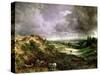 Hampstead Heath-John Constable-Stretched Canvas