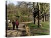 Hampstead Ponds, Hampstead Heath, London, England, United Kingdom-David Hughes-Stretched Canvas