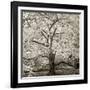 Hamption Magnolia II-Alan Blaustein-Framed Photographic Print