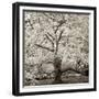 Hamption Magnolia II-Alan Blaustein-Framed Photographic Print