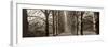 Hamptom Gates Promenade I-Alan Blaustein-Framed Photographic Print