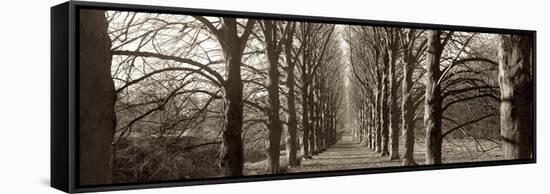 Hamptom Gates Promenade I-Alan Blaustein-Framed Stretched Canvas