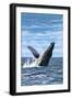 Hampton Beach, New Hampshire - Humback Whale-Lantern Press-Framed Art Print