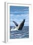 Hampton Beach, New Hampshire - Humback Whale-Lantern Press-Framed Art Print