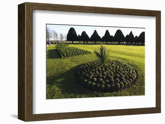 Hampton Court formal gardens-Charles Bowman-Framed Photographic Print