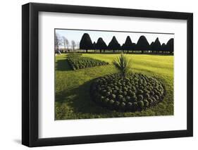 Hampton Court formal gardens-Charles Bowman-Framed Photographic Print