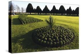 Hampton Court formal gardens-Charles Bowman-Stretched Canvas