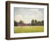 Hampton Court Green, 1891-Camille Pissarro-Framed Art Print