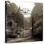 Hampton Gates III-Alan Blaustein-Stretched Canvas