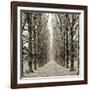 Hampton Gates Promenade III-Alan Blaustein-Framed Photographic Print