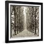 Hampton Gates Promenade III-Alan Blaustein-Framed Photographic Print