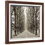 Hampton Gates Promenade III-Alan Blaustein-Framed Photographic Print