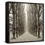 Hampton Gates Promenade III-Alan Blaustein-Framed Stretched Canvas