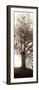 Hampton Gates Tree No. 1-Alan Blaustein-Framed Photographic Print