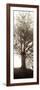 Hampton Gates Tree No. 1-Alan Blaustein-Framed Photographic Print