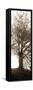 Hampton Gates Tree No. 1-Alan Blaustein-Framed Stretched Canvas