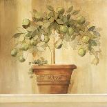 Lime Topiary-Hampton Hall-Stretched Canvas