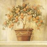 Orange Topiary-Hampton Hall-Stretched Canvas