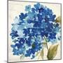 Hampton Hydrangea II-Asia Jensen-Mounted Art Print