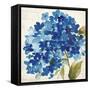 Hampton Hydrangea II-Asia Jensen-Framed Stretched Canvas