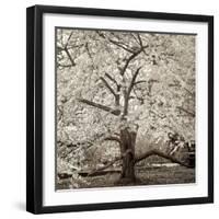 Hampton Magnolia #2-Alan Blaustein-Framed Photographic Print