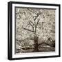 Hampton Magnolia #2-Alan Blaustein-Framed Photographic Print