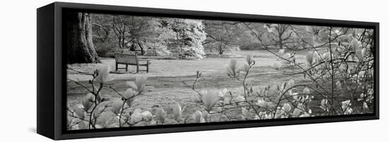 Hampton Magnolia I-Alan Blaustein-Framed Stretched Canvas