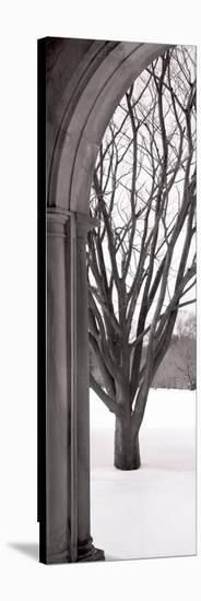 Hampton Winter Arch-Alan Blaustein-Stretched Canvas