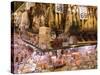 Hams, Jamon and Cheese Stall, La Boqueria, Market, Barcelona, Catalonia, Spain, Europe-Martin Child-Stretched Canvas