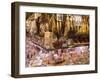 Hams, Jamon and Cheese Stall, La Boqueria, Market, Barcelona, Catalonia, Spain, Europe-Martin Child-Framed Photographic Print