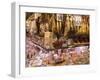 Hams, Jamon and Cheese Stall, La Boqueria, Market, Barcelona, Catalonia, Spain, Europe-Martin Child-Framed Photographic Print