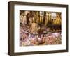 Hams, Jamon and Cheese Stall, La Boqueria, Market, Barcelona, Catalonia, Spain, Europe-Martin Child-Framed Photographic Print