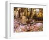 Hams, Jamon and Cheese Stall, La Boqueria, Market, Barcelona, Catalonia, Spain, Europe-Martin Child-Framed Photographic Print