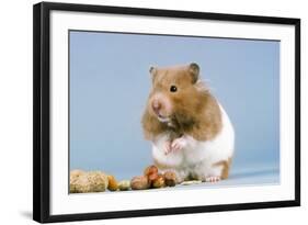 Hamster and Nuts-null-Framed Photographic Print