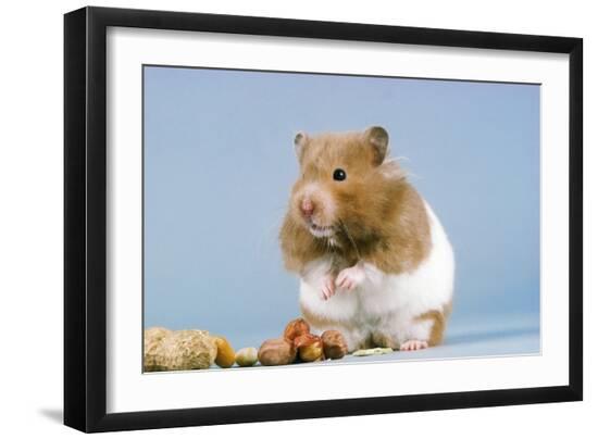 Photographic Print, , large