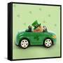 Hamster Driving Car Saint Patrick's Day-null-Framed Stretched Canvas