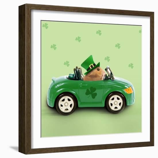 Hamster Driving Car Saint Patrick's Day-null-Framed Photographic Print