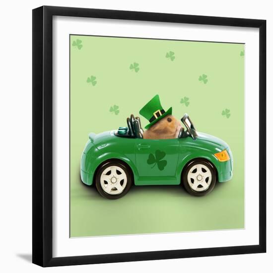 Hamster Driving Car Saint Patrick's Day-null-Framed Photographic Print