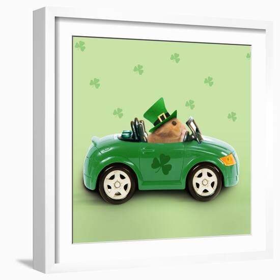 Hamster Driving Car Saint Patrick's Day-null-Framed Photographic Print