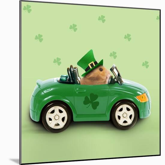 Hamster Driving Car Saint Patrick's Day-null-Mounted Photographic Print