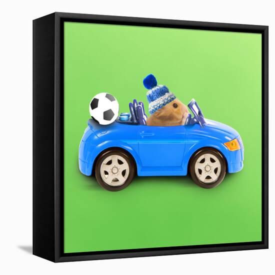 Hamster Driving Miniature Sports Convertible Car-null-Framed Stretched Canvas