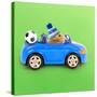 Hamster Driving Miniature Sports Convertible Car-null-Stretched Canvas