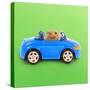 Hamster Driving Miniature Sports Convertible Car-null-Stretched Canvas