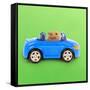 Hamster Driving Miniature Sports Convertible Car-null-Framed Stretched Canvas